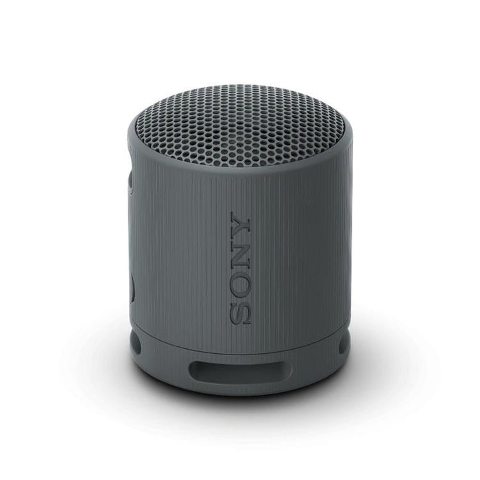 Sony SRS-XB100 | Haut-parleur portatif - Sans fil - Bluetooth - IP67 - Noir-SONXPLUS St-Jean